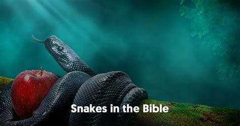 snakes in the holy bible